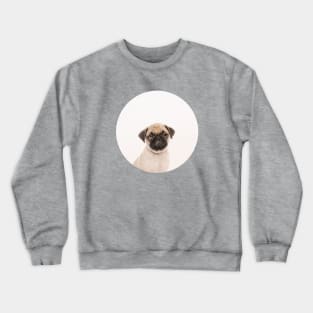 Puggly the Pug Dog Crewneck Sweatshirt